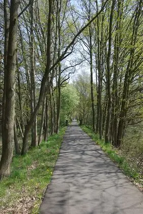 Burg (Spreewald) - Radweg 0003