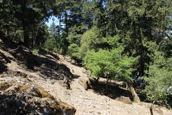 Подъем к вилле Девичи (вилла Муссолини). Profitis Ilias. Rhodos. Greece. Июнь 2014 - panoramio