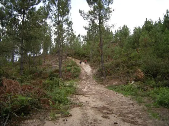 Camino de Santiago - Camino Portugués (2846565344)