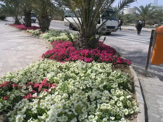 Kish Island,Persian Gulf - panoramio