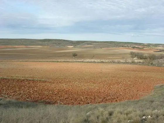Paisaje - panoramio - Allpe (9)