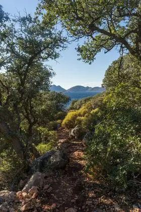 2023-11-19 Lycian Way near Kaş 2
