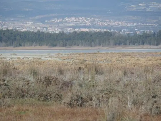 Limassol Salt Lake 13