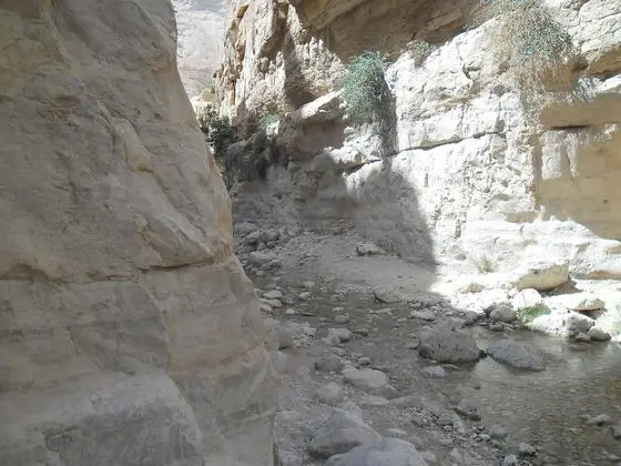 Canyon - panoramio (18)