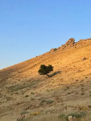 Nurobod mountains