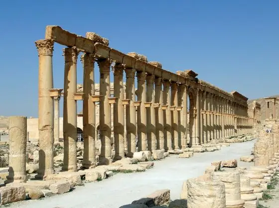 Palmyra 01