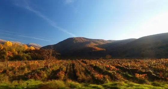 Autumnal scene of nature on the Galičica