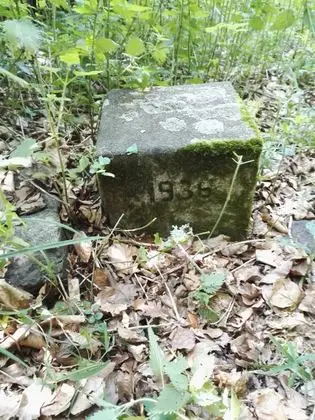 Hajagos