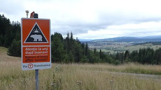 Via Transilvanica Sign 1