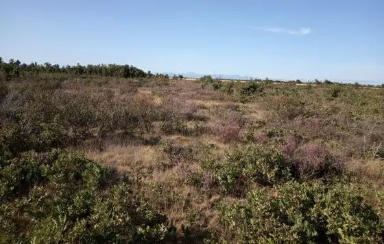 Monte Torreconcejo de Cea