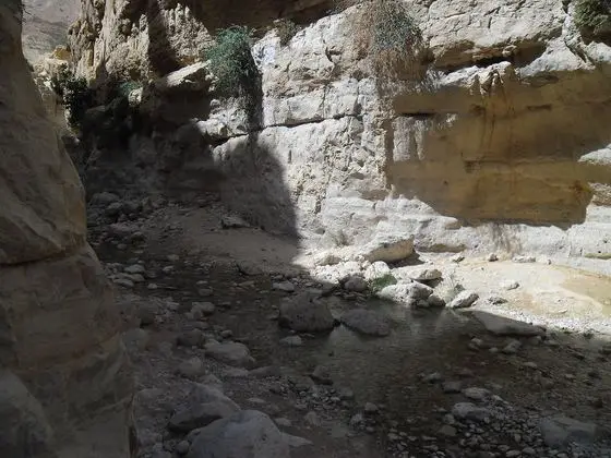 Canyon - panoramio (17)