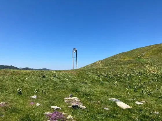 Carina Matesevo Bare Kraljske Regionale Park Priode Komovi 04 45 36 754000