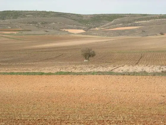 Paisaje - panoramio - Allpe (10)