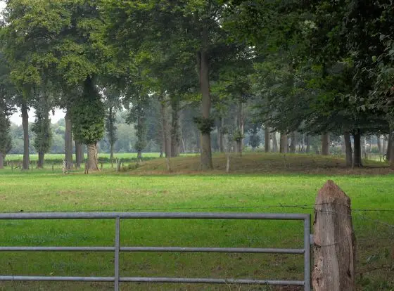 Glanerbrugdijk SDC18902 grafheuvel