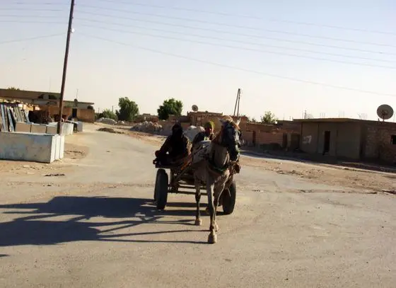 Horse Cart