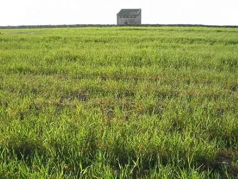 Palomar - panoramio