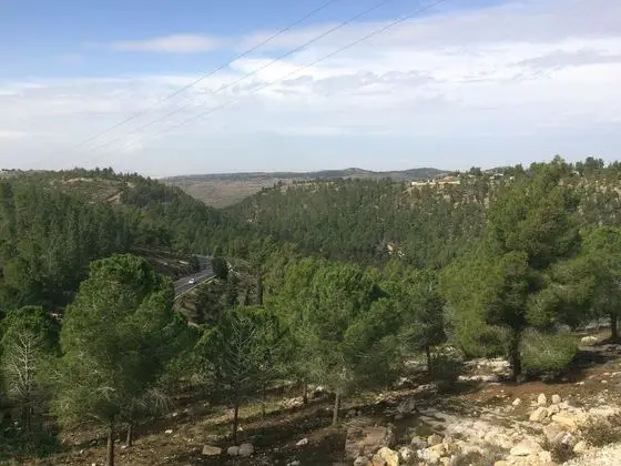 Gvaot village 2018