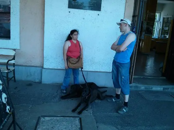 De ha elindul a vonat...