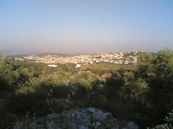 اليامون-جنين - panoramio