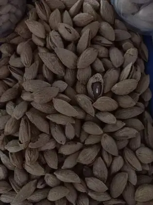 "Almond" fruit