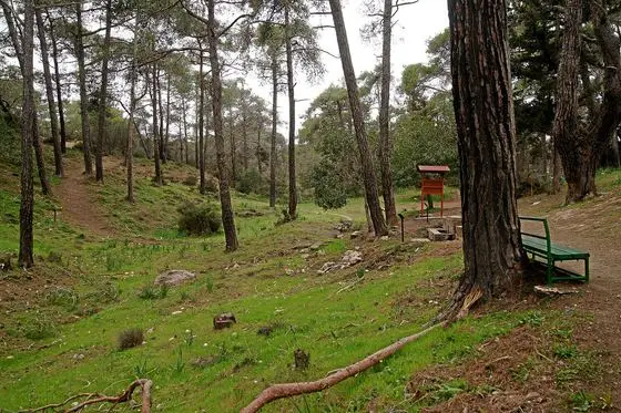 Adonis-trail-kefalovrisia