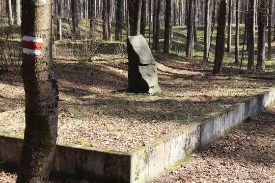 Biķernieki forest, mass grave (1)