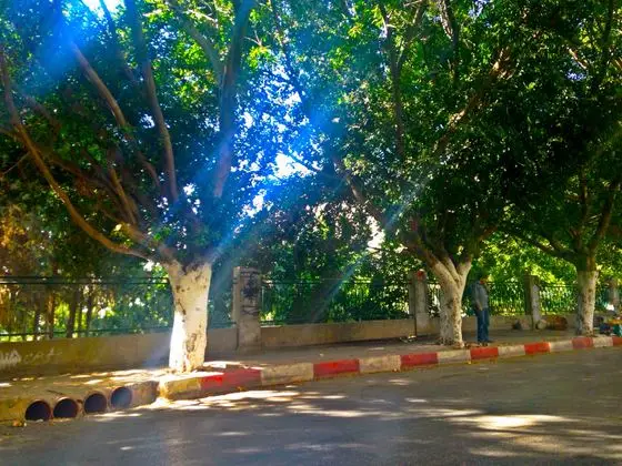 Garden Jamal Abdel Nasser in the city of Nablus