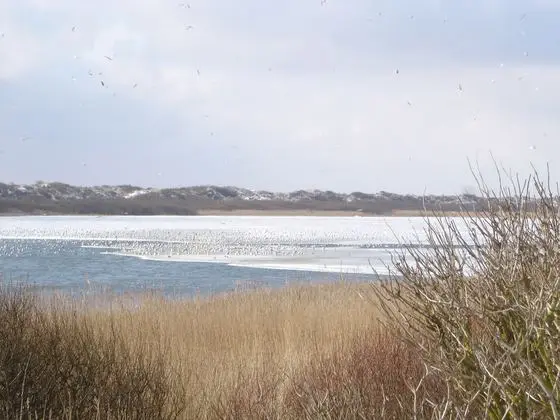 Hammersee Winter