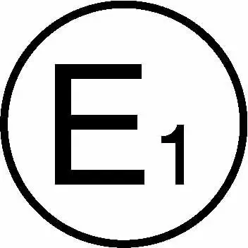 E1logo