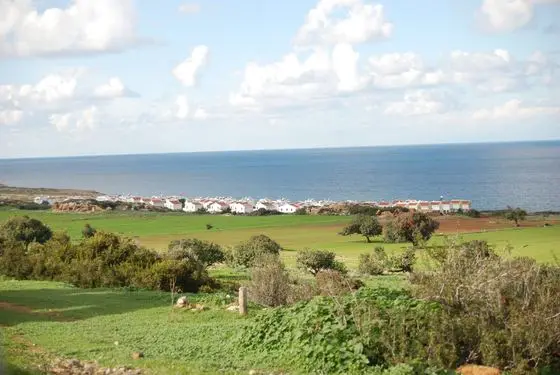 Livera