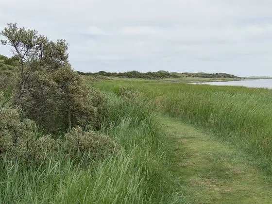 Natur- und Vogelschutzgebiet "Het Oerd", Ameland