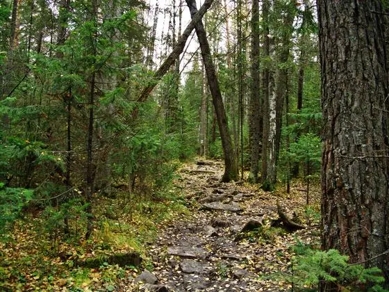 G. Zlatoust, Chelyabinskaya oblast', Russia - panoramio (25)