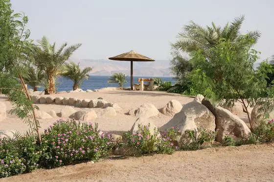 Aqaba - panoramio (4)