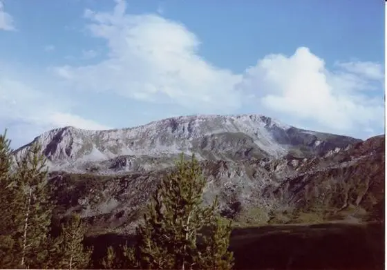 Untitled - panoramio - Milos Simic