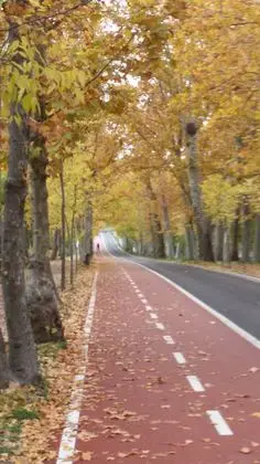 CAMINO A LA PRIMAVERA