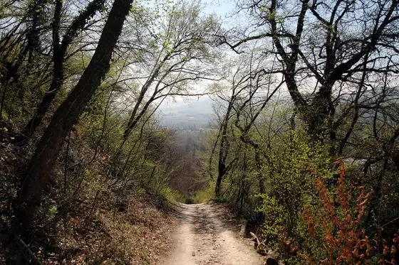 Via degli Dei, Casalecchio di Reno, Sentiero dei Bregoli 04