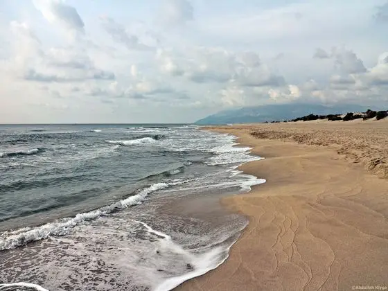 The homeland of Caretta caretta. Patara beach, Dalyan, Antalya ©Abdullah Kiyga - panoramio