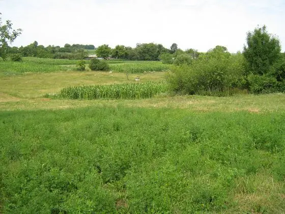 In Lsna - panoramio