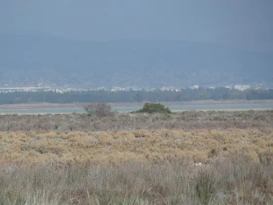 Limassol Salt Lake 3