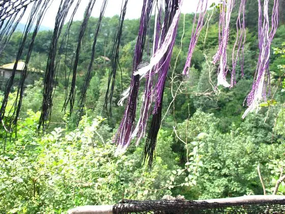 Spring breeze - panoramio