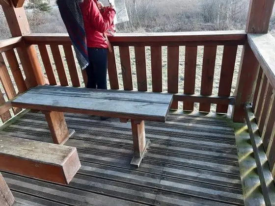 Vogelbeobachtungsturm im Leinschlag bei Freihung; Plattform