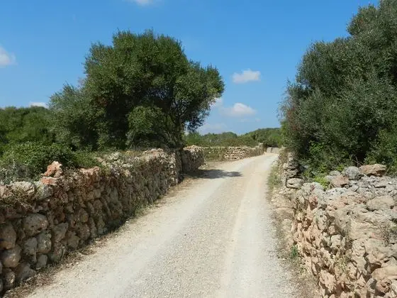 Cami de Biniatap - panoramio