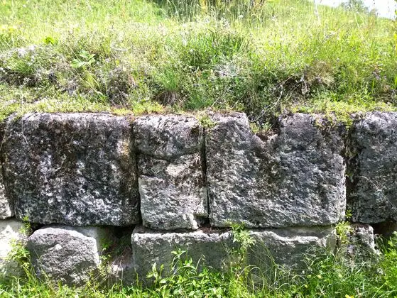 Cetatea de la Costesti - zid