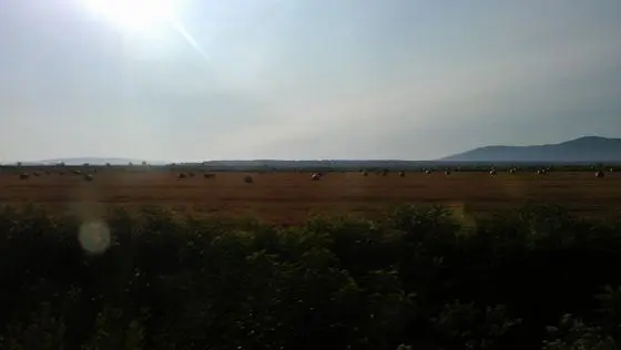 Polja - panoramio (1)