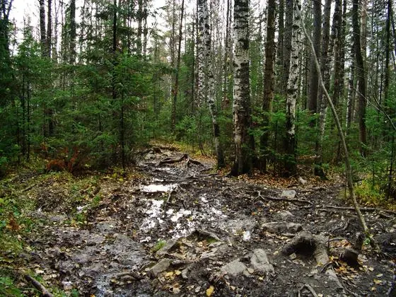 G. Zlatoust, Chelyabinskaya oblast', Russia - panoramio (26)