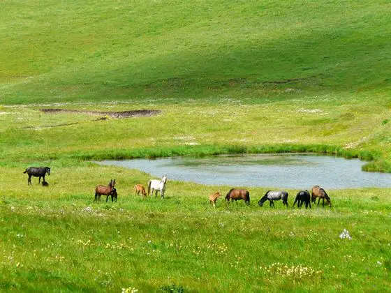 Dans le no man's land - panoramio