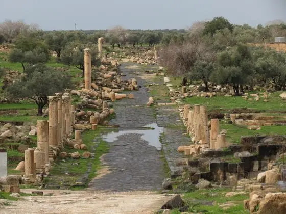 Umm Qais wlm 39