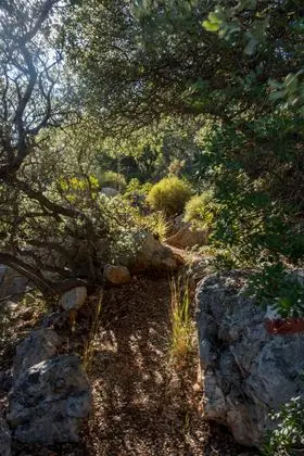 2023-11-19 Lycian Way near Kaş 1