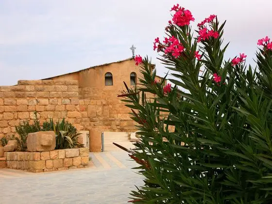 Jordan-17A-050 - Mount Nebo