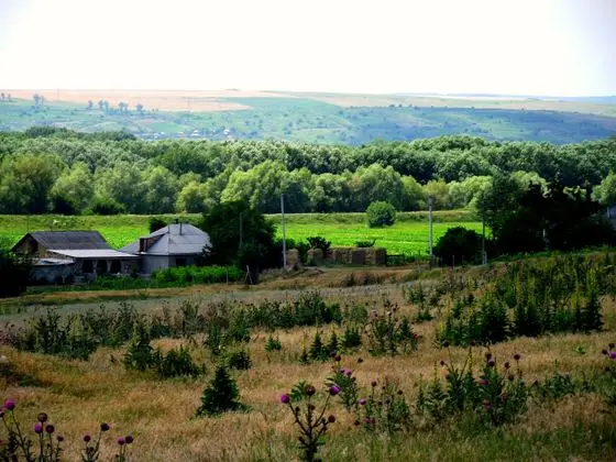 Окраина Погэнешть - panoramio